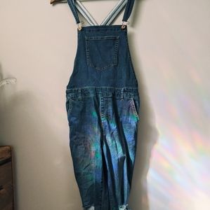 Distressed Denim Overalls